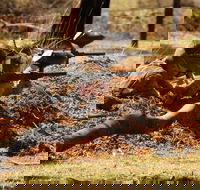 Freycinet Paintball and Campground - Accommodation Directory
