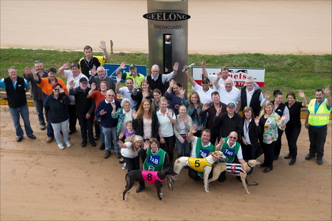 Geelong Greyhound Racing Club - The Beckley Centre - Accommodation Directory 0