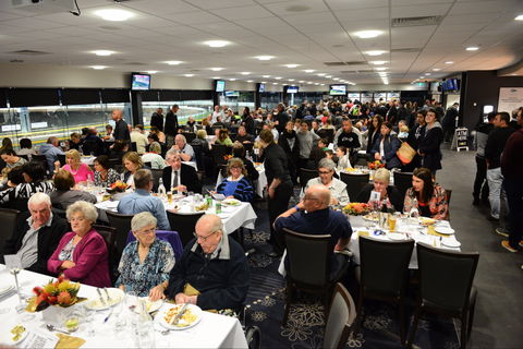 Geelong Greyhound Racing Club - The Beckley Centre - Accommodation Directory 1