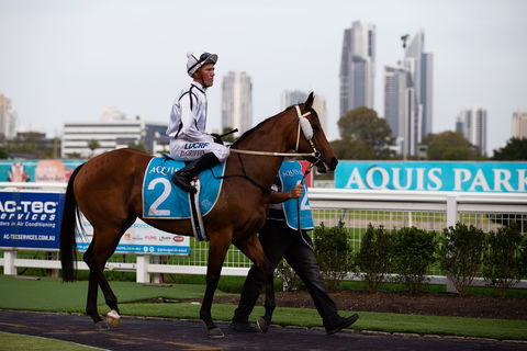 Gold Coast Turf Club - Accommodation Directory 2