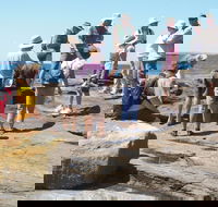 Gondwana Coast Fossil Walk - Accommodation Directory
