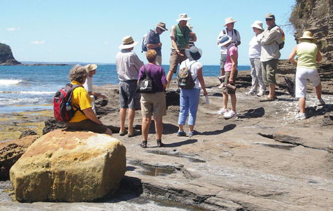 Gondwana Coast Fossil Walk - Accommodation Directory 0
