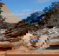 Homestead Gorge trail - Accommodation Directory