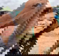 Horses Teaching Humans - Accommodation Directory