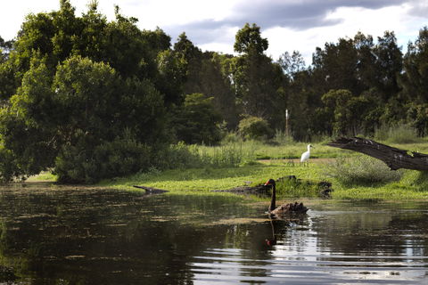 Hunter Wetlands Centre - Accommodation Directory 0