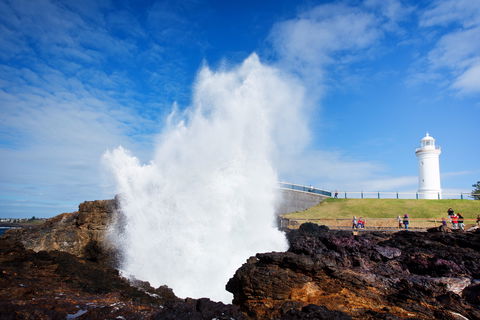 Kiama Blowhole - Accommodation Directory 0