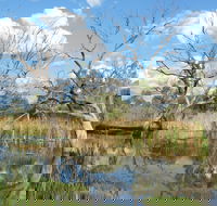 Lagoon Creek - Accommodation Directory
