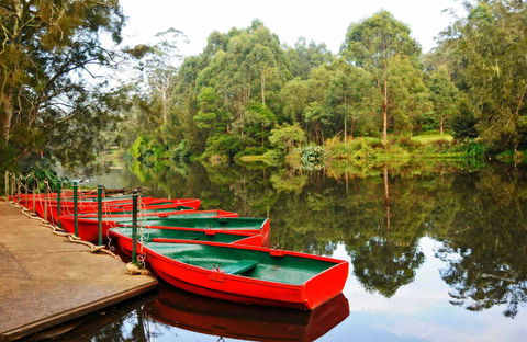 Lane Cove National Park - Accommodation Directory 0