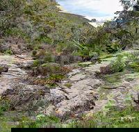 Lynchs Loop Trail - Accommodation Directory