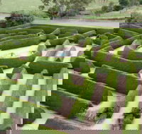Mintaro Maze - Accommodation Directory