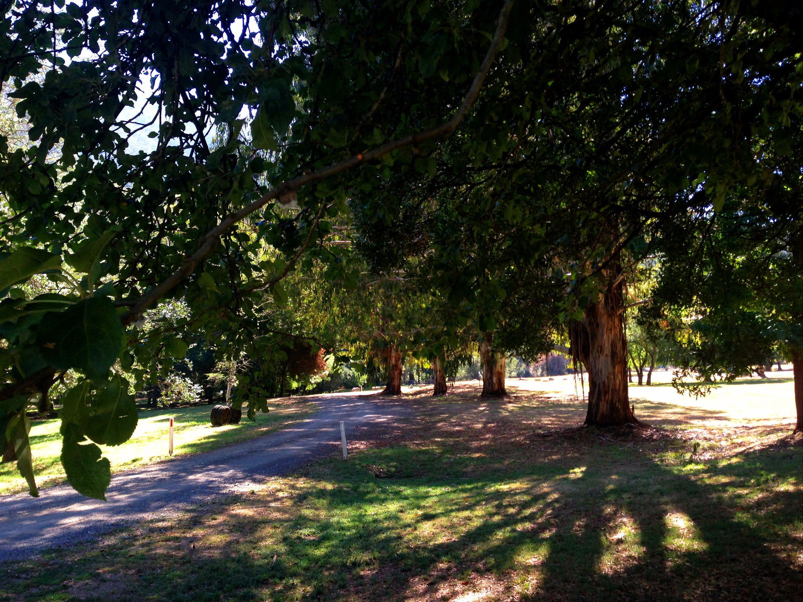 Mirimbah VIC Accommodation Directory