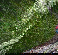 Morisset - Accommodation Directory