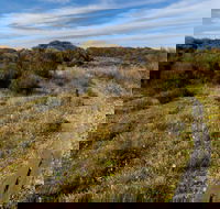 Murramarang Aboriginal Area Walking Track - Accommodation Directory