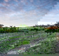 Nature and Foodies Trail - Accommodation Directory