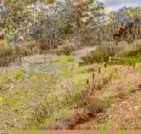 Old Mountain Road Walking Track - Accommodation Directory
