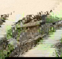 Pebbly Beach to Snake Bay walking track - Accommodation Directory