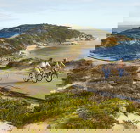 Point Nepean National Park - Accommodation Directory