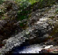 Potoroo Falls walk - Accommodation Directory