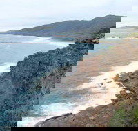 Pretty Beach to Snapper Point Walking Track - Accommodation Directory