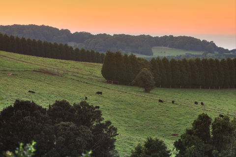 Robertson Heritage Railway Station - Accommodation Directory 2