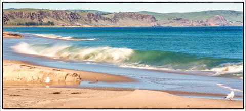 Starfish Hill Windfarm - Accommodation Directory 0