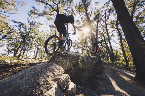 St Helens Mountain Bike Trails - Accommodation Directory 1