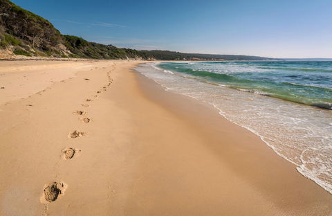 Terrace Beach And Lennards Island - Accommodation Directory 0