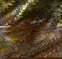 The West Coast Wilderness Way - Accommodation Directory