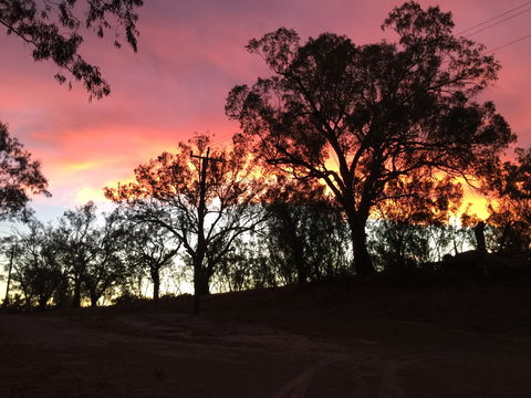 The Historic Barwon Bridge - Accommodation Directory 1
