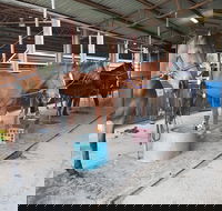 The Equine Club - Accommodation Directory
