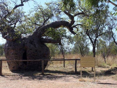 Time Walk, Windjana Gorge National Park - Accommodation Directory 2