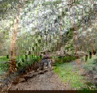 Venman Bushland National Park - Accommodation Directory