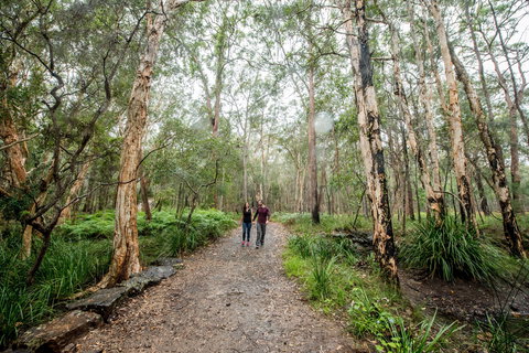 Venman Bushland National Park - Accommodation Directory 0