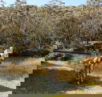 Wild Valley Art Park - Accommodation Directory