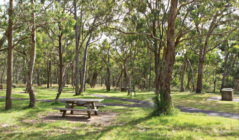 Wollomombi Gorge And Falls Picnic Area - Accommodation Directory 0