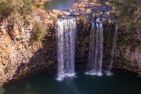 Rainforest & Waterfall Experience - Accommodation Directory 1