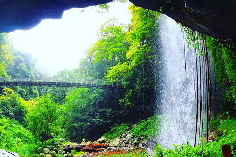 Rainforest & Waterfall Experience - Accommodation Directory 6