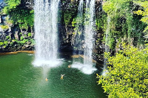 Rainforest & Waterfall Experience - Accommodation Directory 2