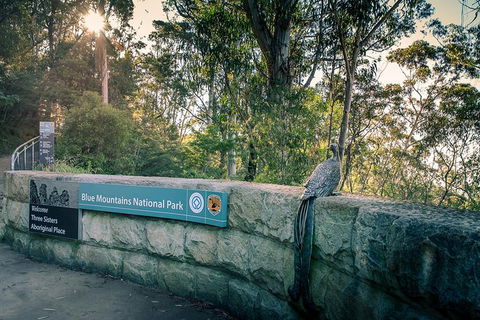 Ultimate Blue Mountains Waterfalls, Walks & Sunset PRIVATE Tour - Accommodation Directory 8