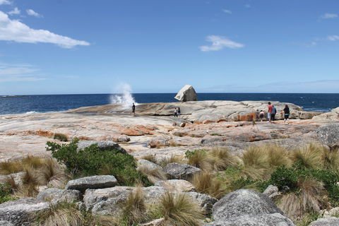 Bicheno Blowhole - Accommodation Directory 1