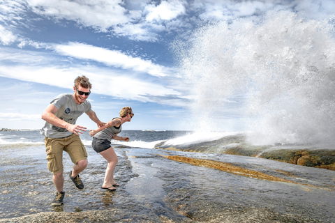 Bicheno Blowhole - Accommodation Directory 2