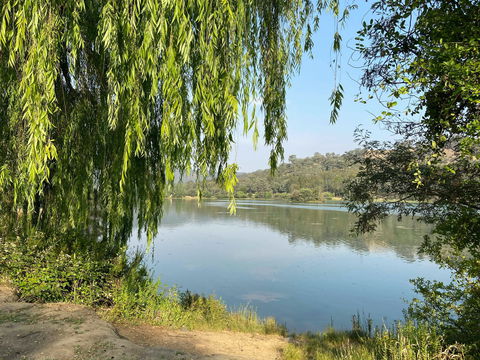 Eildon Pondage Walk - Accommodation Directory 1
