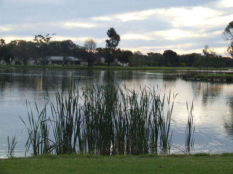 Luke Park And Jerilderie Lake - Accommodation Directory 2