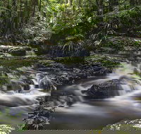 Protesters Falls Walking Track - Accommodation Directory