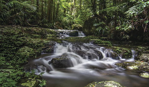 Protesters Falls Walking Track - Accommodation Directory 0