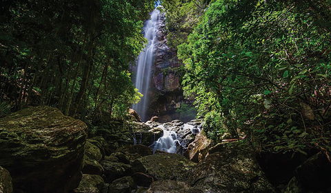 Protesters Falls Walking Track - Accommodation Directory 1