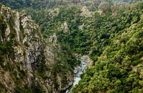 Tiara Walking Track - Accommodation Directory 0