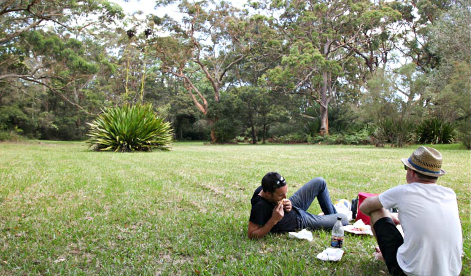 Waterfall NSW Accommodation Directory