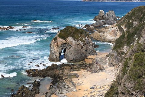 Narooma And Tilba Valley Private Tour - Accommodation Directory 8