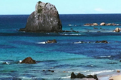 Narooma And Tilba Valley Private Tour - Accommodation Directory 9